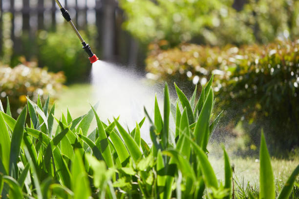 Tamper-Resistant Bait Stations for Rodents in Morton