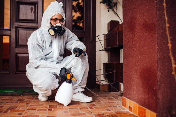 Attic and Crawl Space Rodent Treatment in Morton